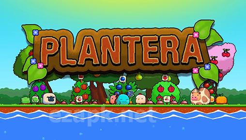 Plantera