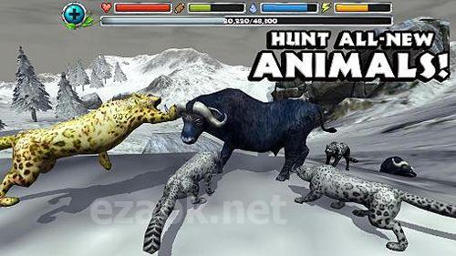 Snow leopard simulator