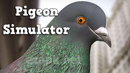 Pigeon simulator