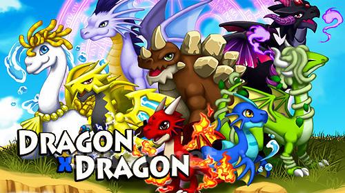 Dragon x dragon: City sim game