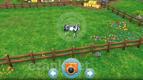 Star stable horses
