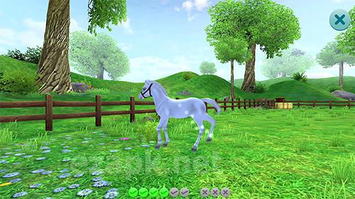 Star stable horses
