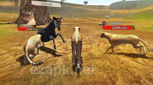 The cheetah: Online simulator