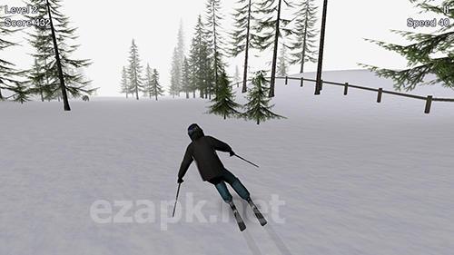 Alpine ski 3