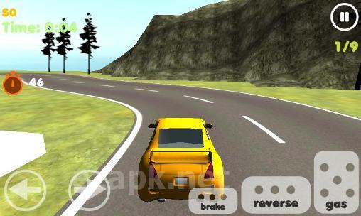 Rally racer 3D