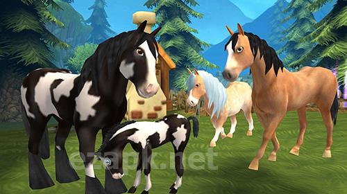 Horse paradise: My dream ranch