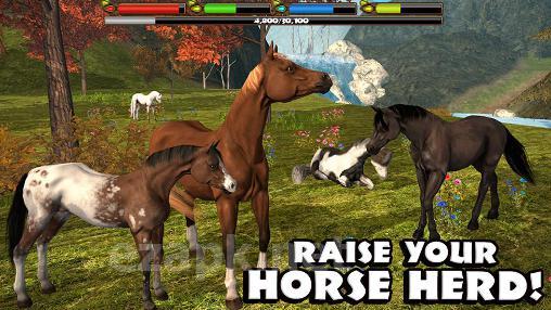 Ultimate horse simulator