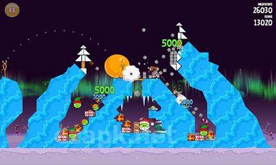 Angry Birds Seasons Winter Wonderham!