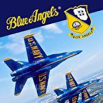 Blue angels: Aerobatic sim