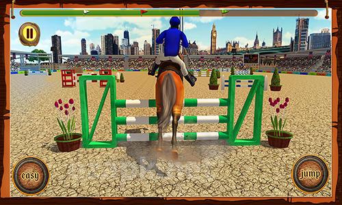 Horse show jumping challenge