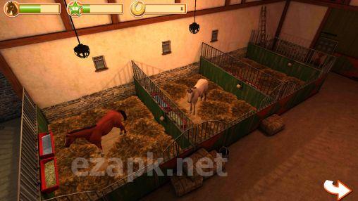 Horse world 3D: My riding horse