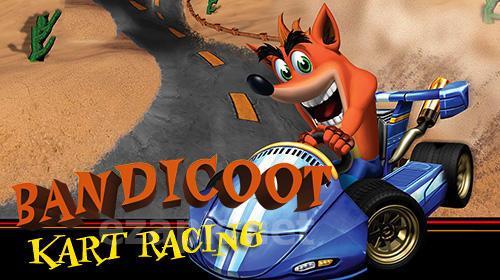 Bandicoot kart racing