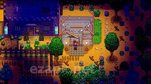 Stardew valley