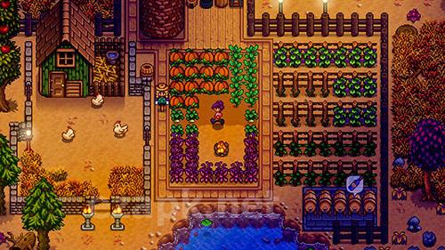 Stardew valley