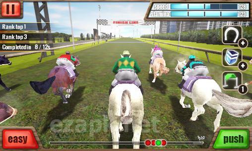 Horse racing 3D