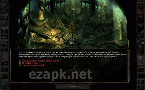 Icewind dale: Enhanced edition