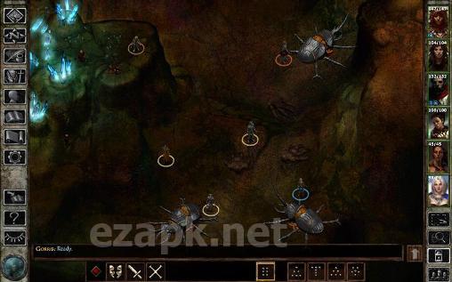 Icewind dale: Enhanced edition