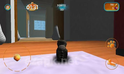 Cat simulator 2015