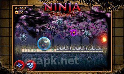 Rush Ninja - Ninja Games