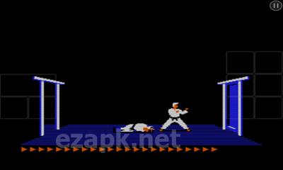 Karateka Classic