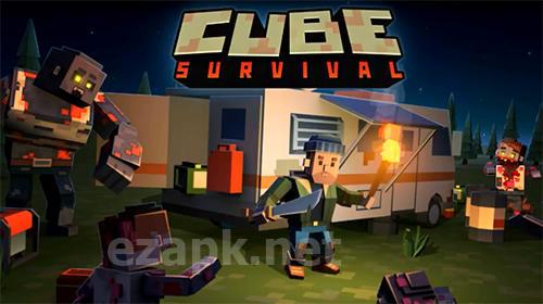 Cube survival story