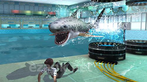 Whale shark attack simulator 2019