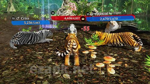 The tiger: Online simulator