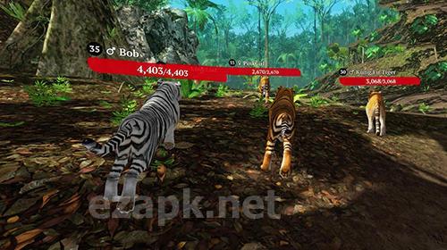 The tiger: Online simulator