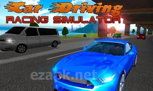 Car driving: Racing simulator