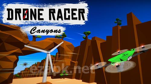 Drone racer: Canyons