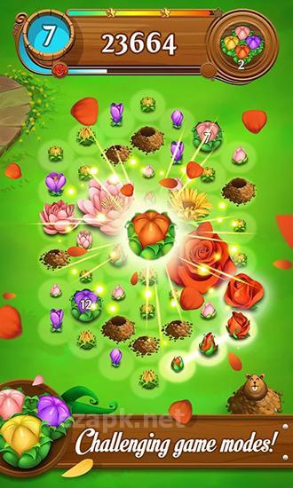 Blossom blast saga