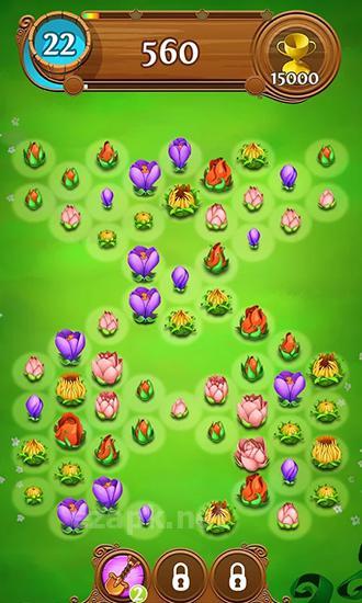 Blossom blast saga