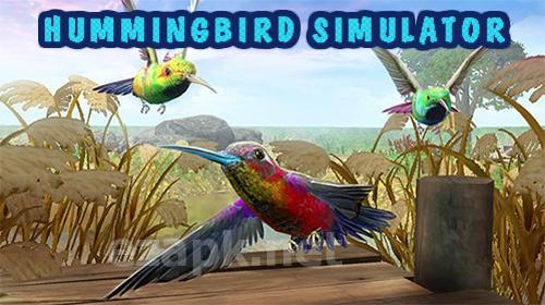 Hummingbird simulator 3D