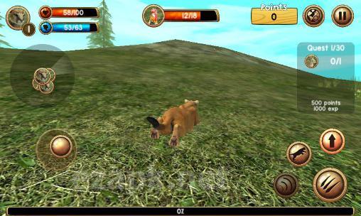 Wild cougar sim 3D