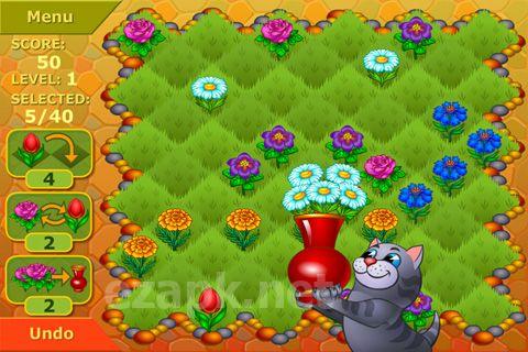 Flower garden: Logical game