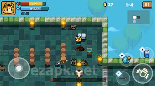 Heroes soul: Dungeon shooter