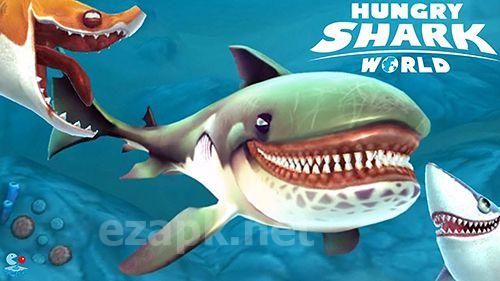 Hungry shark world