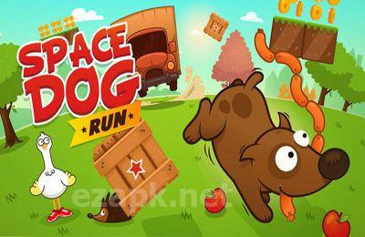 Space Dog Run