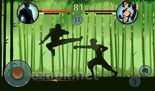 Shadow fight 2