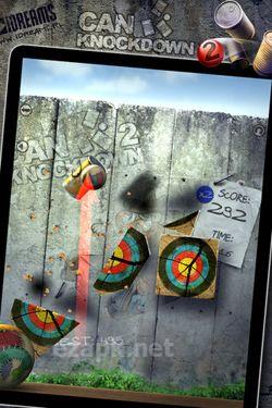 Can Knockdown 2