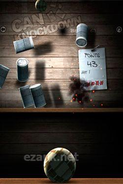 Can Knockdown 2