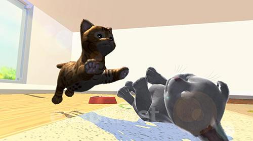 Daily kitten: Virtual cat pet