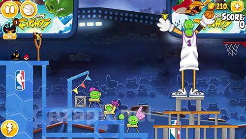 Angry birds: NBA the finals