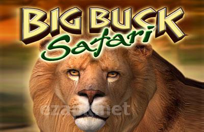 Big Buck Safari