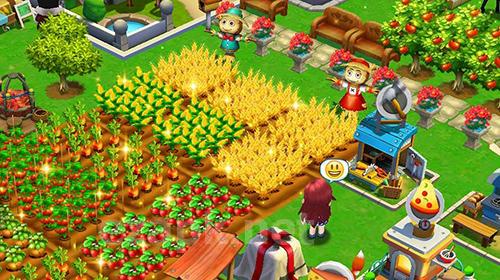 Dream farm: Harvest story