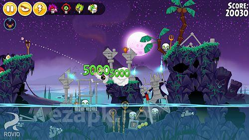 Angry birds seasons: Tropical paradise