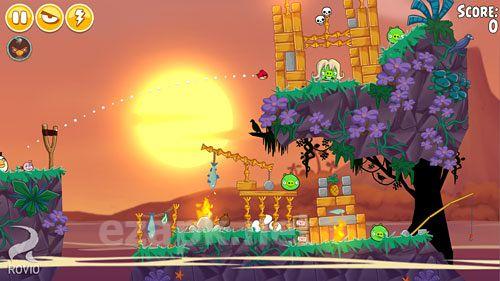 Angry birds seasons: Tropical paradise